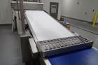 2008 Rademaker Sheeting Line 1000mm Wide